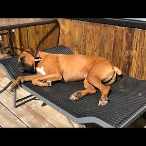 Meet your Posher, Christine